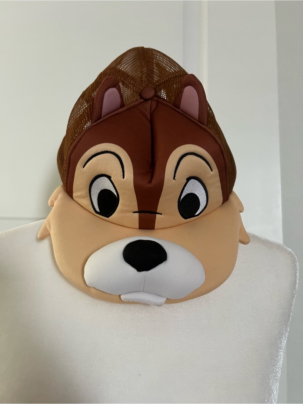 EUC Chip and Dale Disney Baseball Hat One Size Fits All